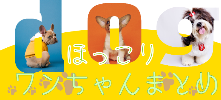 カワイイがいっぱい！ワンダーランド